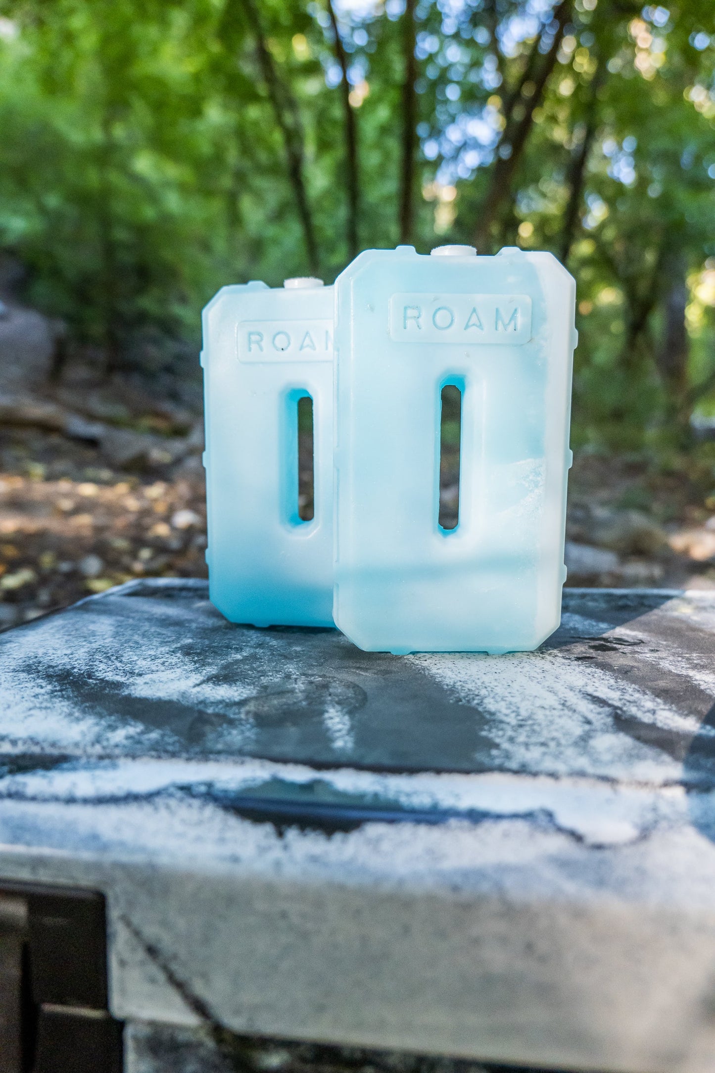 Roam 1lb Ice Pack by ROAM Adventure Co.