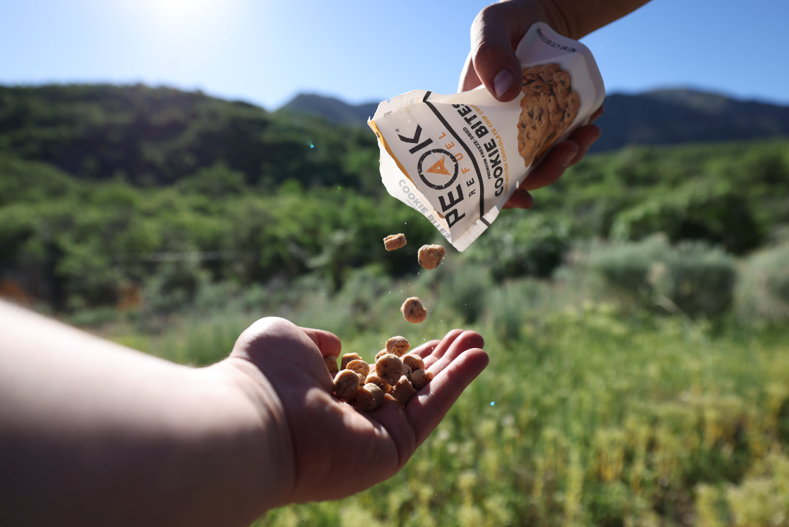 Peanut Butter Chocolate Chip Cookie Bites by Peak Refuel