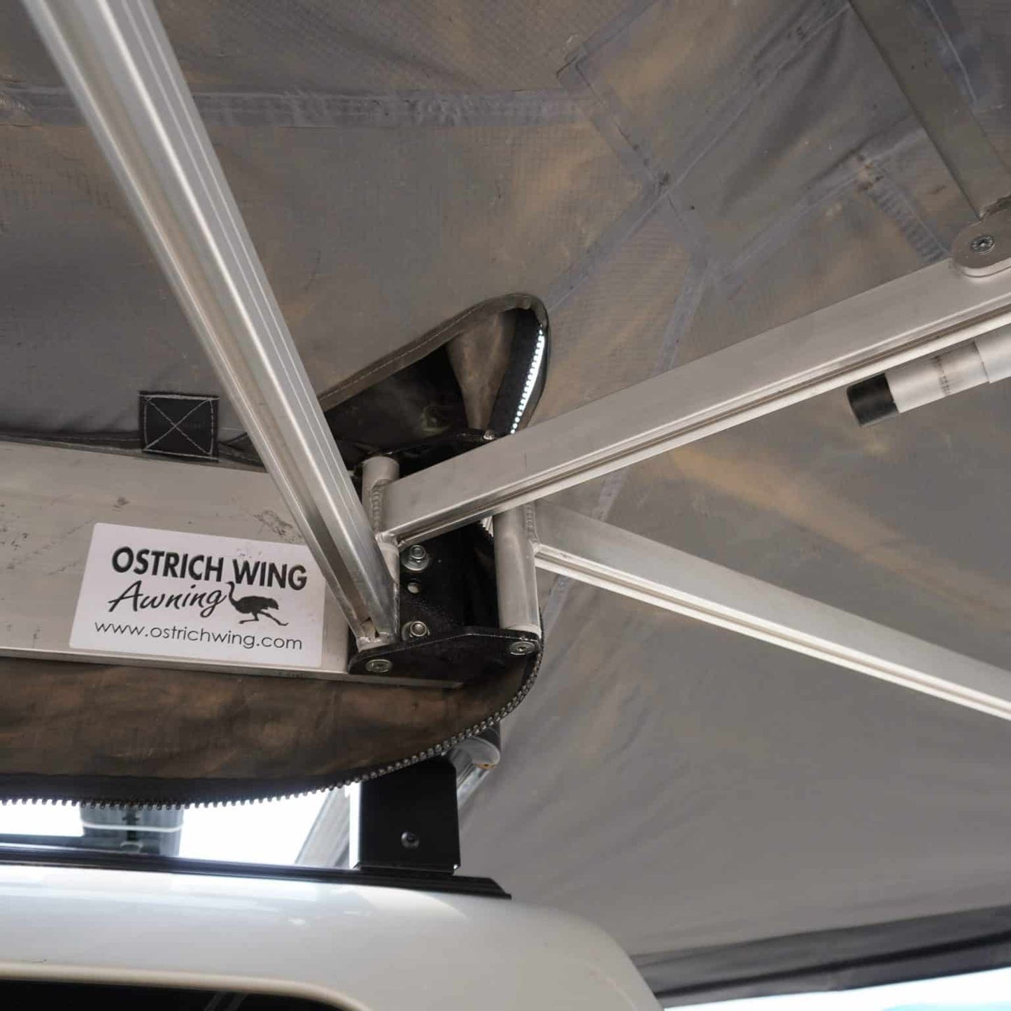 Rugged Bound Ostrich Wing Junior Awning